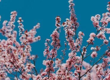 Подготовка автомобиля к весенн-летнему периоду. Підготовка автомобіля