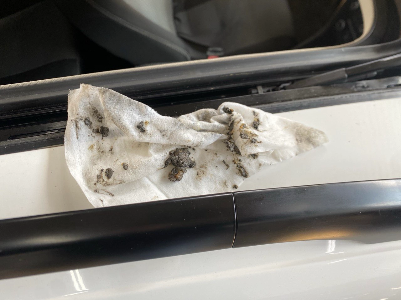 photo 2025 08 28 11 33 37 - Вода в салоне Volkswagen Golf Variant - Устуги СТО obsluzhivaniye-panoram, obsluzhivaniye-avtomobilei